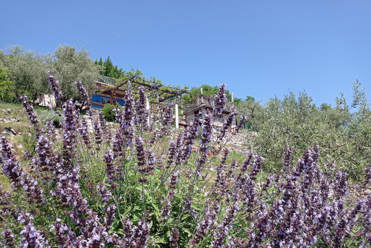 Mošćenička DragaCasa Delle Olive别墅 外观 照片