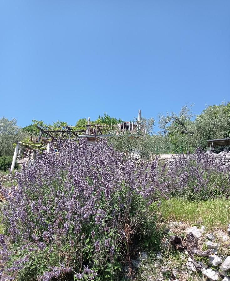 Mošćenička DragaCasa Delle Olive别墅 外观 照片