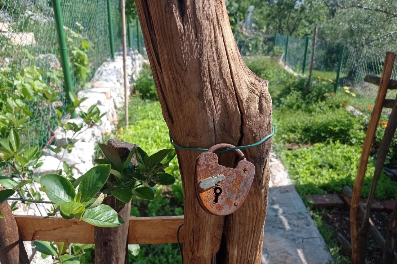 Mošćenička DragaCasa Delle Olive别墅 外观 照片